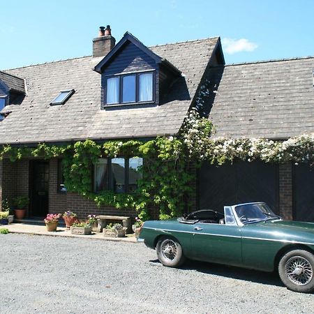 Bed and Breakfast Ty Carreg Llanwrtyd Wells Екстер'єр фото