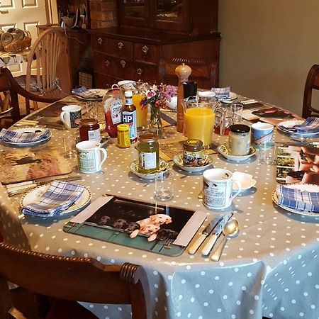 Bed and Breakfast Ty Carreg Llanwrtyd Wells Екстер'єр фото