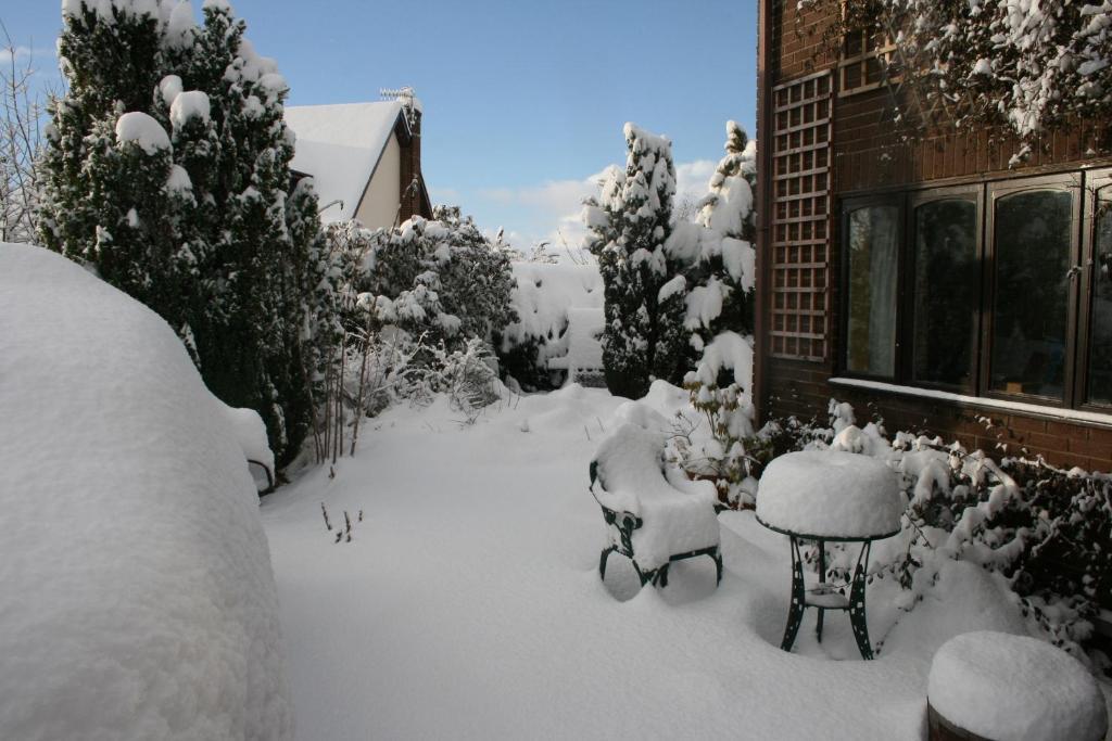 Bed and Breakfast Ty Carreg Llanwrtyd Wells Екстер'єр фото