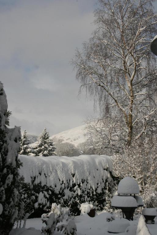 Bed and Breakfast Ty Carreg Llanwrtyd Wells Екстер'єр фото