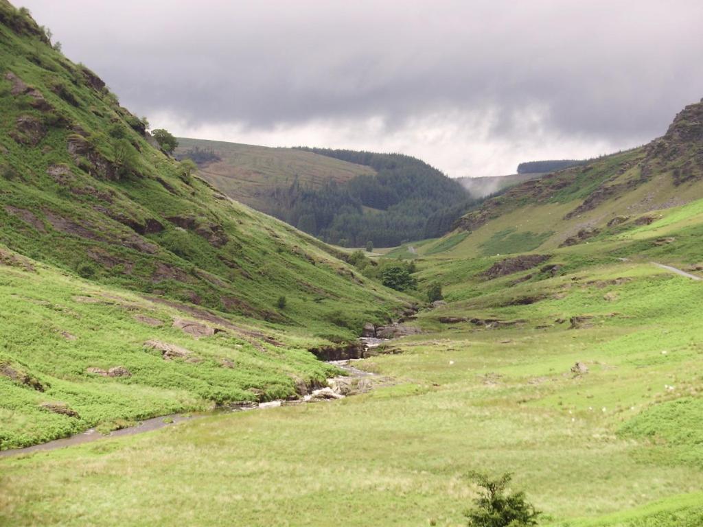 Bed and Breakfast Ty Carreg Llanwrtyd Wells Екстер'єр фото