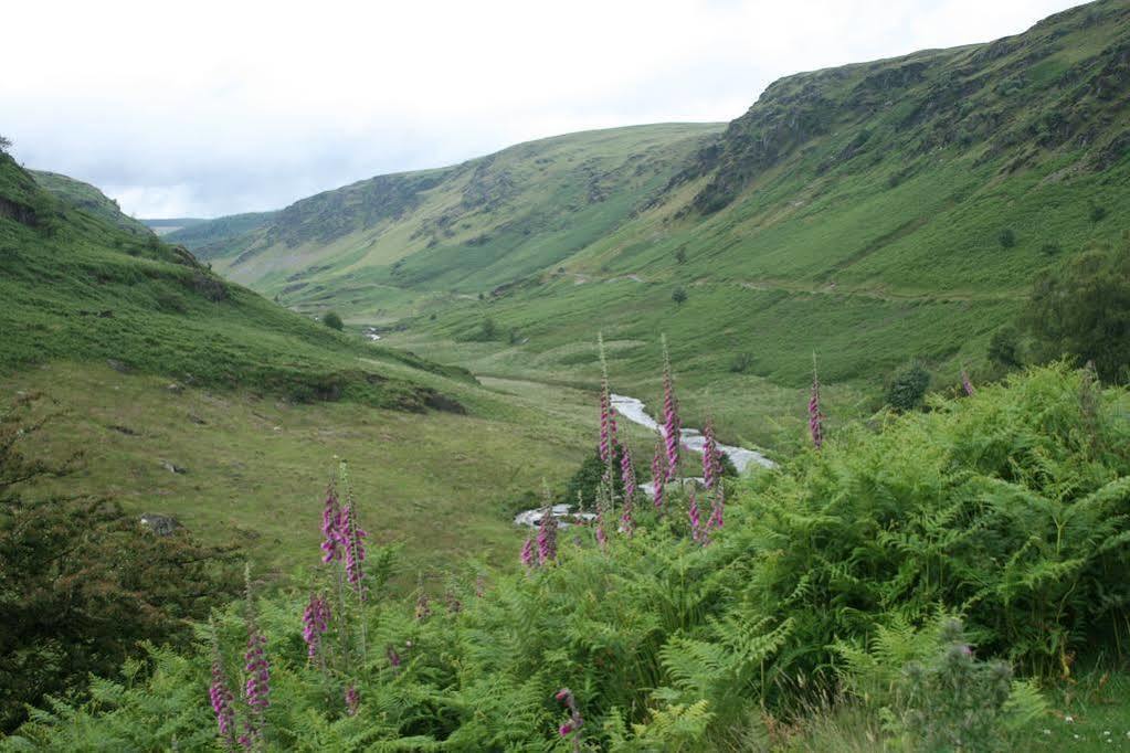 Bed and Breakfast Ty Carreg Llanwrtyd Wells Екстер'єр фото